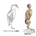 Japanese illustrator shows what people would look like if we had the bones of various animals Japanese illustrator shows what people would look like if we had the bones of various animals