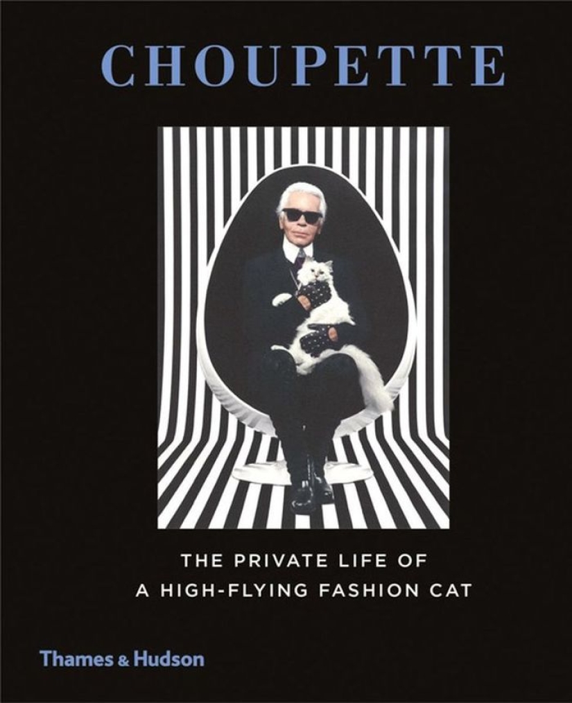 Karl Lagerfeld's cat earned 3 million euros in a year Karl Lagerfeld's cat earned 3 million euros in a year