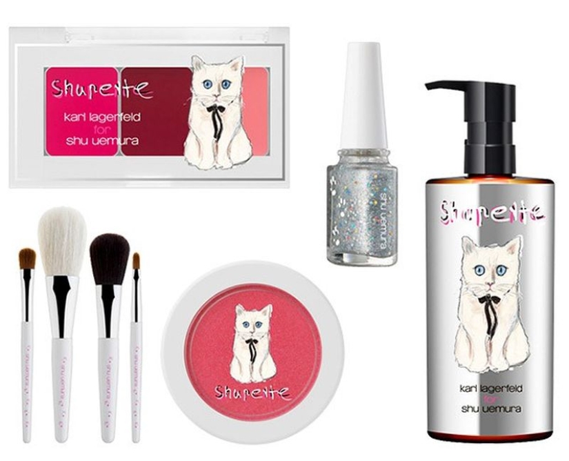 Karl Lagerfeld's cat earned 3 million euros in a year Karl Lagerfeld's cat earned 3 million euros in a year