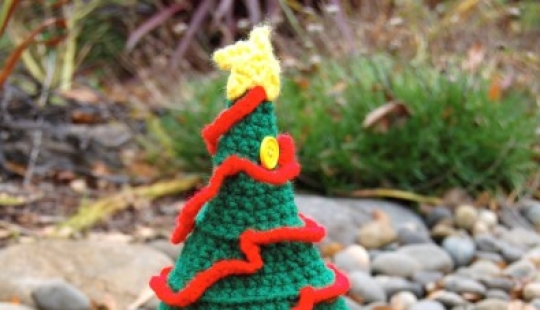 Kathy Bradley teje disfraces inusuales para tortugas