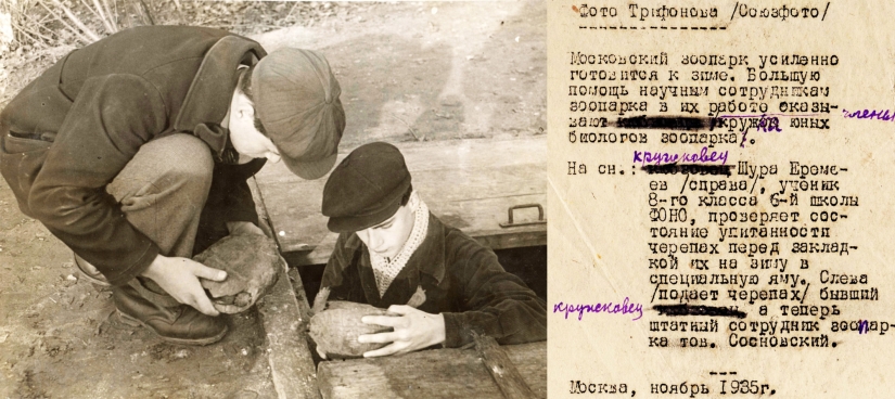 Kids in a cage: 154 years of the Moscow Zoo