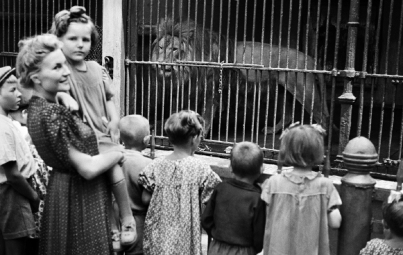 Kids in a cage: 154 years of the Moscow Zoo