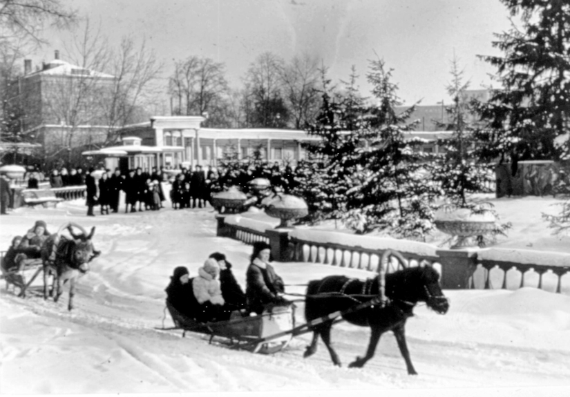 Kids in a cage: 154 years of the Moscow Zoo