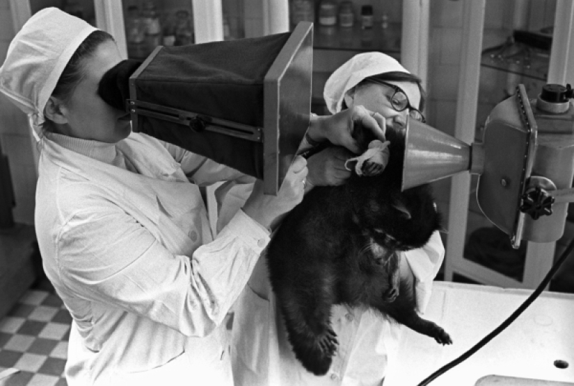 Kids in a cage: 154 years of the Moscow Zoo