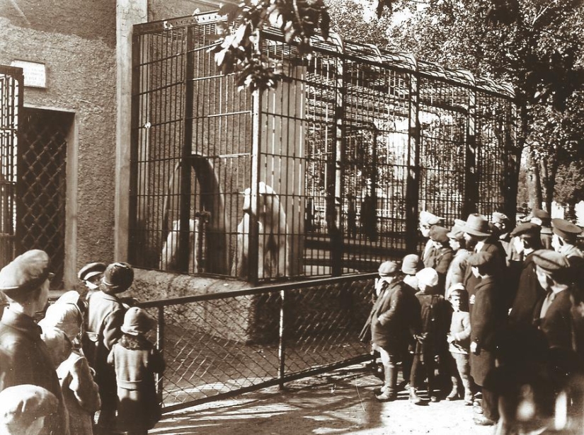 Kids in a cage: 154 years of the Moscow Zoo