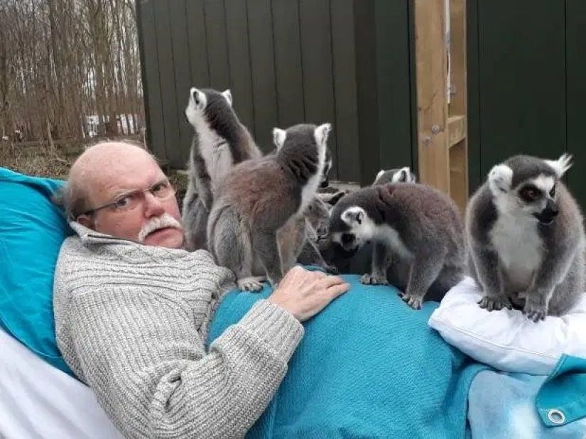 Kind wizards: Dutch volunteers fulfill the last wishes of terminally ill people Kind wizards: Dutch volunteers fulfill the last wishes of terminally ill people