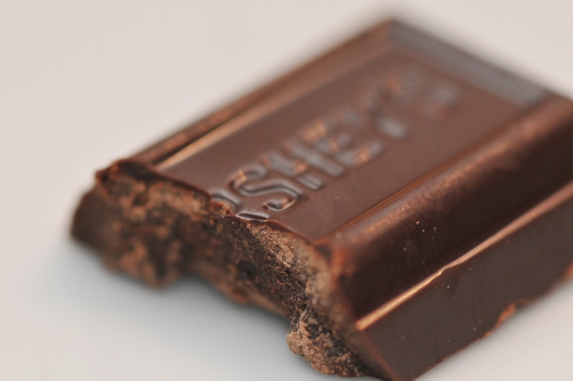 Kote-hechos. ¡Sobre lo que no sabías de las mascotas bigotudas! Kote-hechos. ¡Sobre lo que no sabías de las mascotas bigotudas!