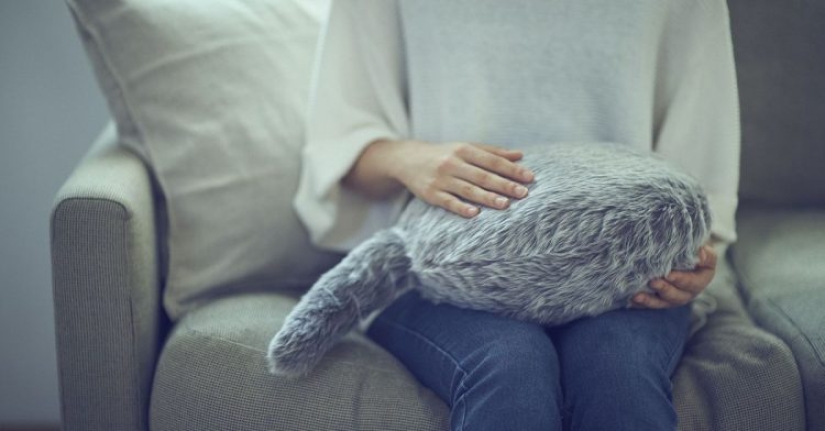 La acaricias y ronronea: los japoneses han creado una almohada sustituta para gatos