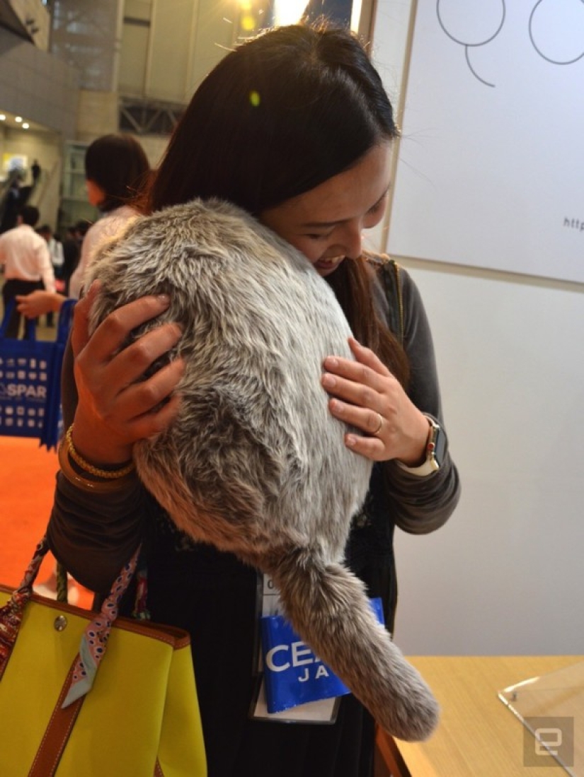 La acaricias y ronronea: los japoneses han creado una almohada sustituta para gatos