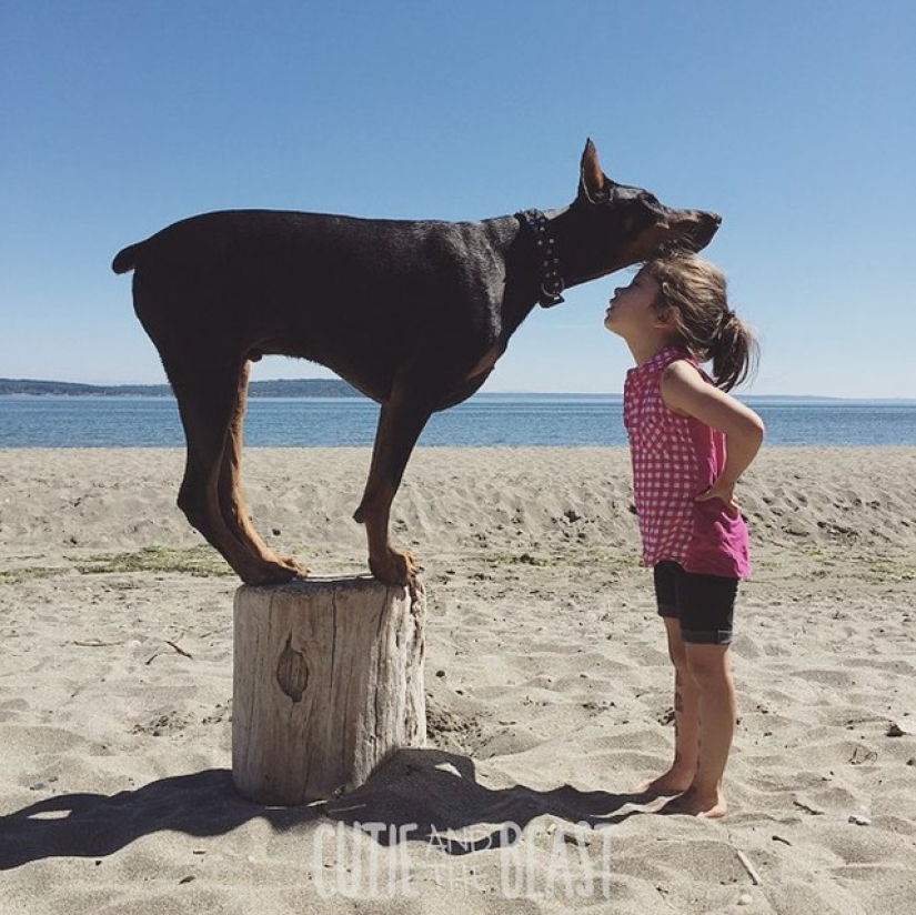 La Bella y la Bestia: la increíble amistad de una niña pequeña con un Doberman gigante