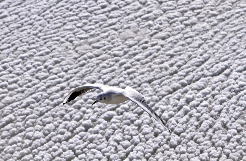 La belleza del invierno La belleza del invierno