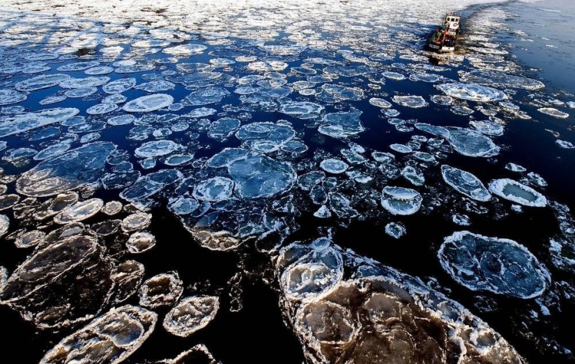 La belleza del invierno La belleza del invierno