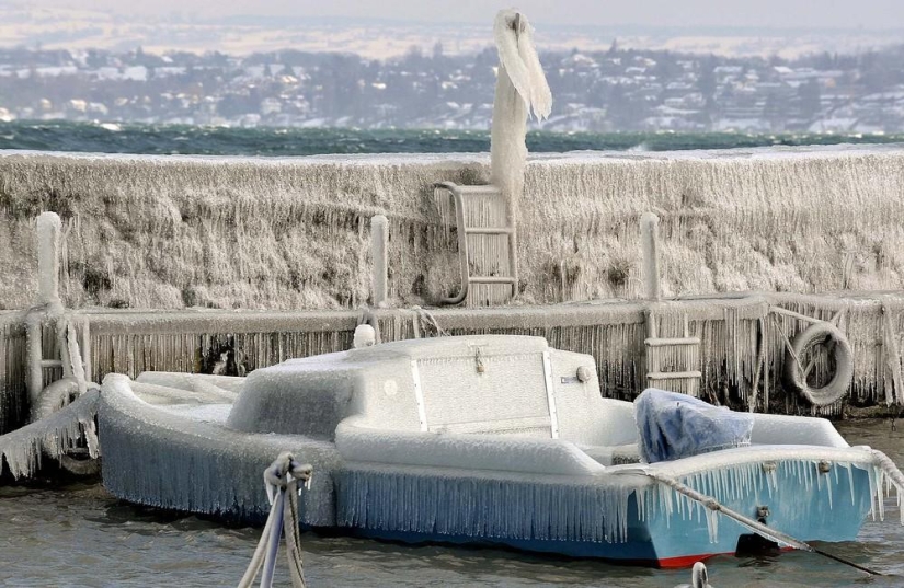 La belleza del invierno La belleza del invierno