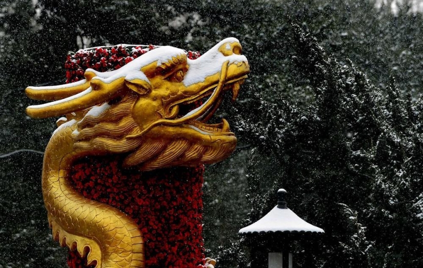 La belleza del invierno La belleza del invierno