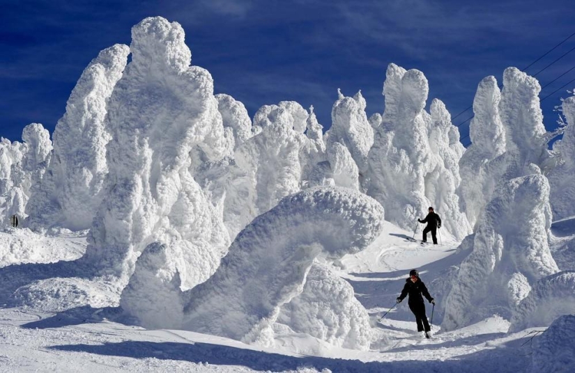 La belleza del invierno La belleza del invierno