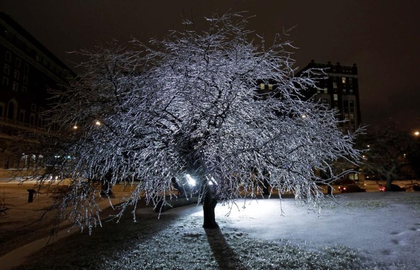 La belleza del invierno La belleza del invierno