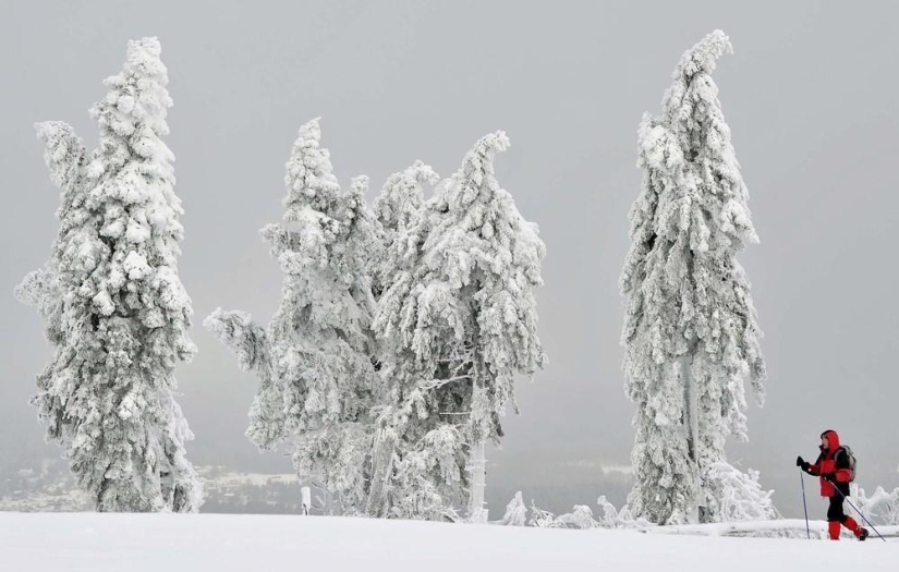 La belleza del invierno La belleza del invierno