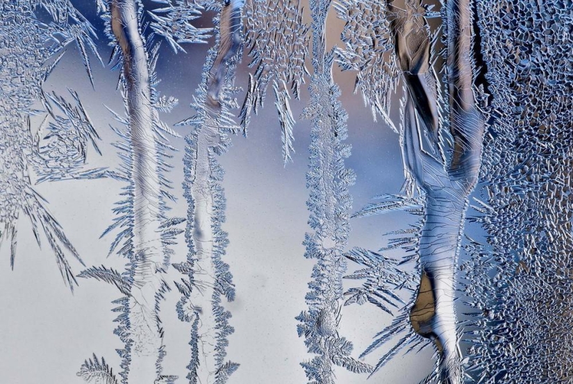 La belleza del invierno La belleza del invierno