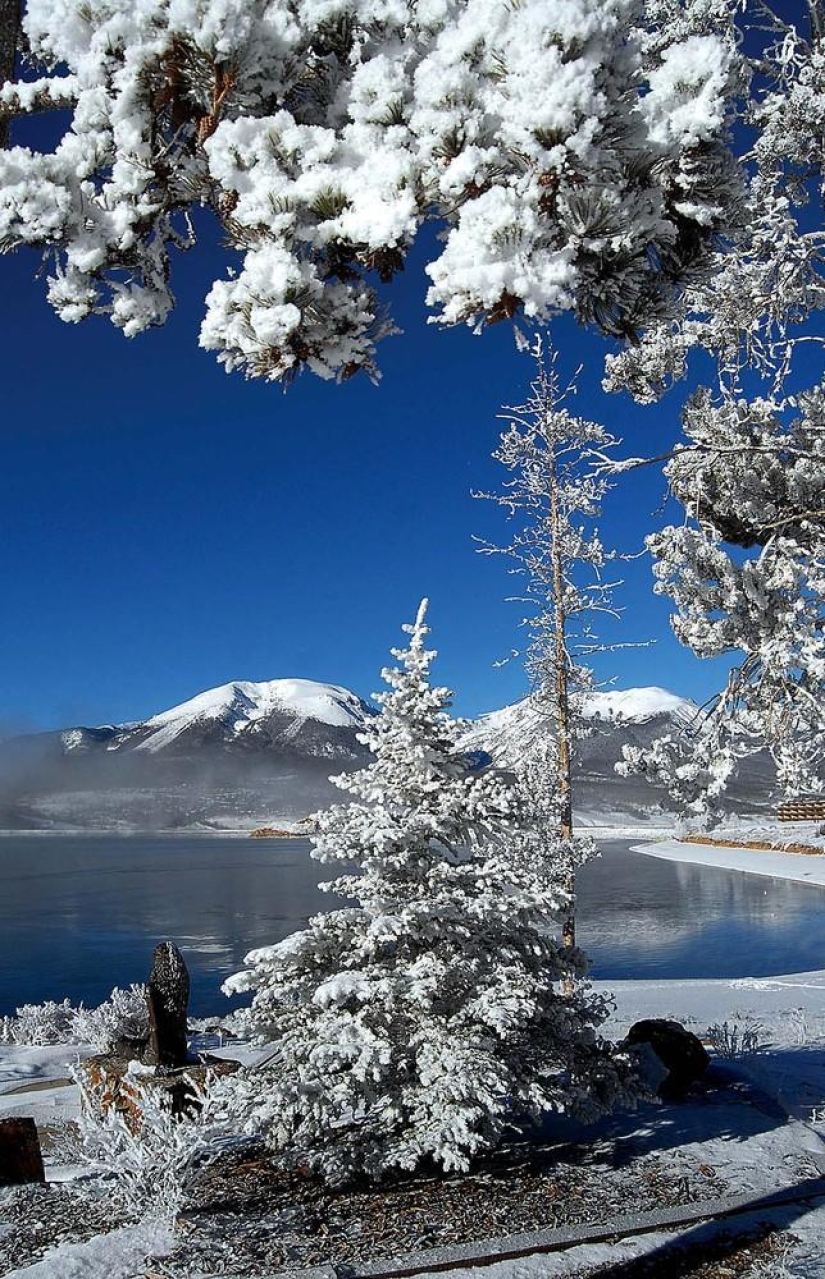 La belleza del invierno La belleza del invierno