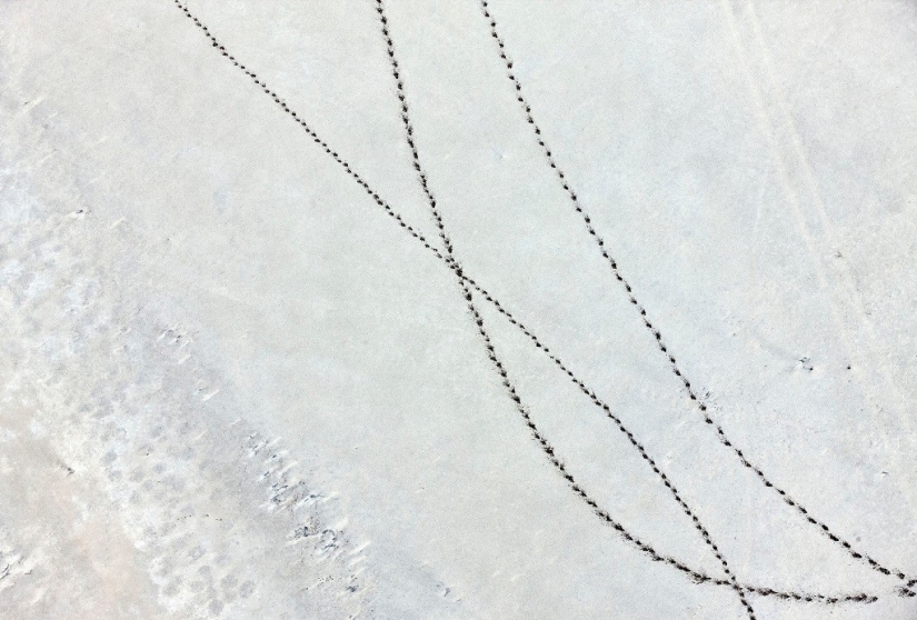 La belleza prístina de África en increíbles fotos aéreas