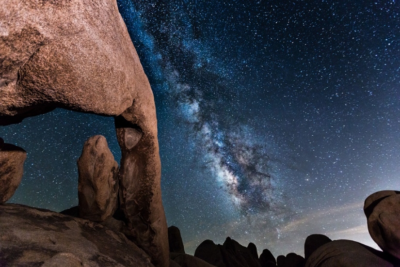 La foca se metió en el encuadre mientras el fotógrafo fotografiaba la Vía Láctea La foca se metió en el encuadre mientras el fotógrafo fotografiaba la Vía Láctea