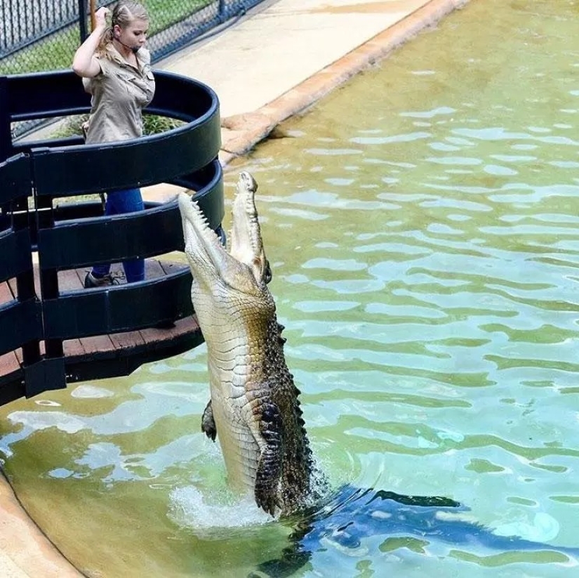 La hija de papá: la hija del legendario Steve Irwin honrará la memoria de su padre en su boda