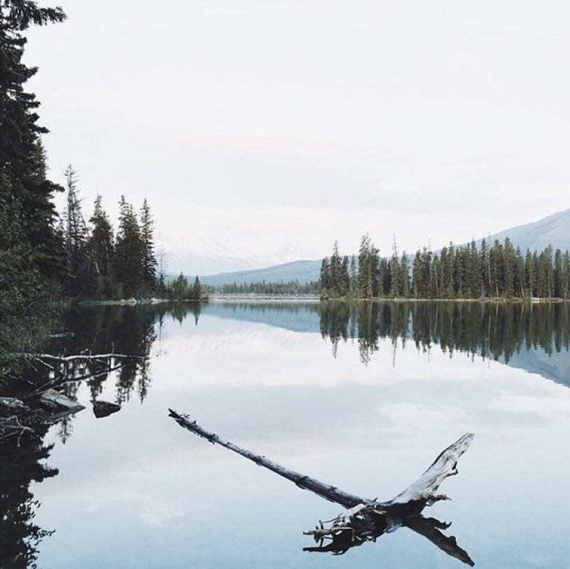 La historia de un ingeniero de TI que lo dejó todo y se convirtió en fotógrafo