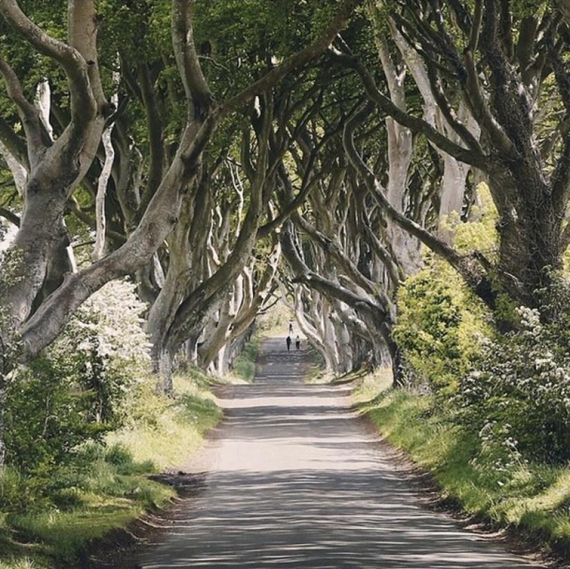 La historia de un ingeniero de TI que lo dejó todo y se convirtió en fotógrafo