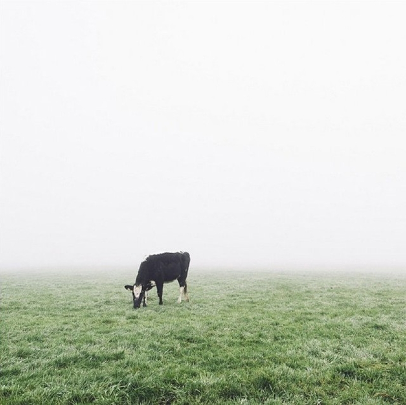 La historia de un ingeniero de TI que lo dejó todo y se convirtió en fotógrafo