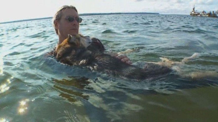 La historia más conmovedora del cuidado de una mascota