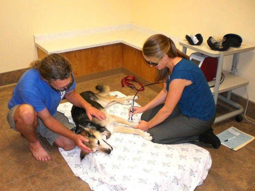 La historia más conmovedora del cuidado de una mascota