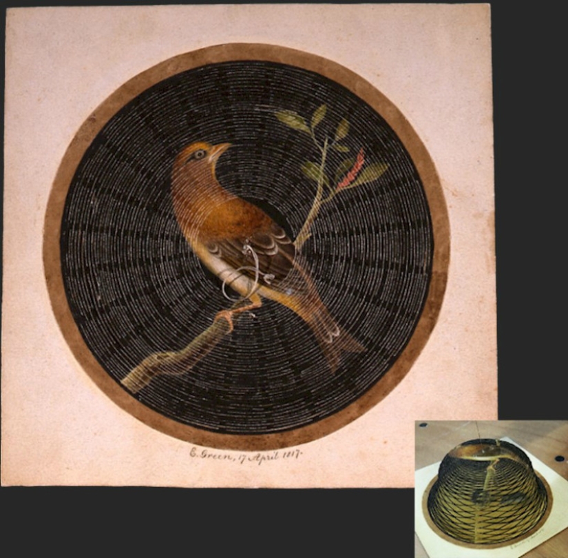 La historia y la cultura de la humanidad en números: qué documentos inusuales se almacenan en los archivos mundiales