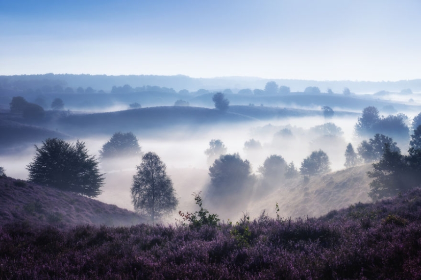 La increíble belleza de Holanda