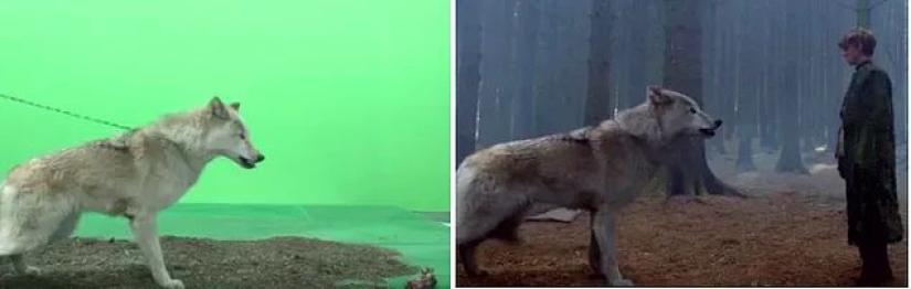 La magia de Chromakey: 15 nuevas tomas de Game of Thrones antes y después de aplicar efectos especiales
