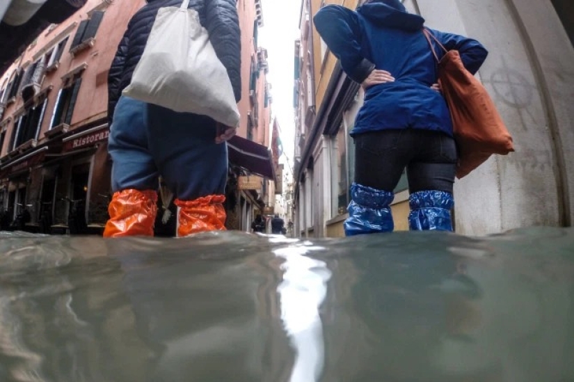 La mayor inundación en Venecia en los últimos 50 años: los rusos donaron un millón de euros para restaurar la ciudad en el agua La mayor inundación en Venecia en los últimos 50 años: los rusos donaron un millón de euros para restaurar la ciudad en el agua