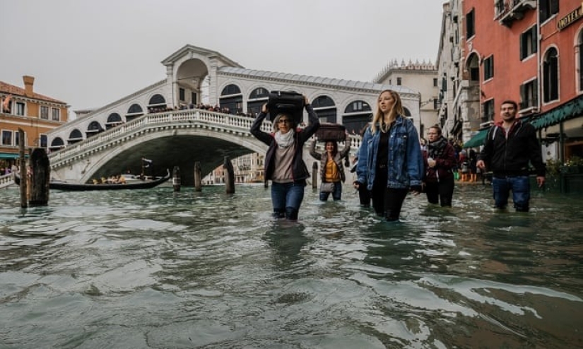 La mayor inundación en Venecia en los últimos 50 años: los rusos donaron un millón de euros para restaurar la ciudad en el agua La mayor inundación en Venecia en los últimos 50 años: los rusos donaron un millón de euros para restaurar la ciudad en el agua