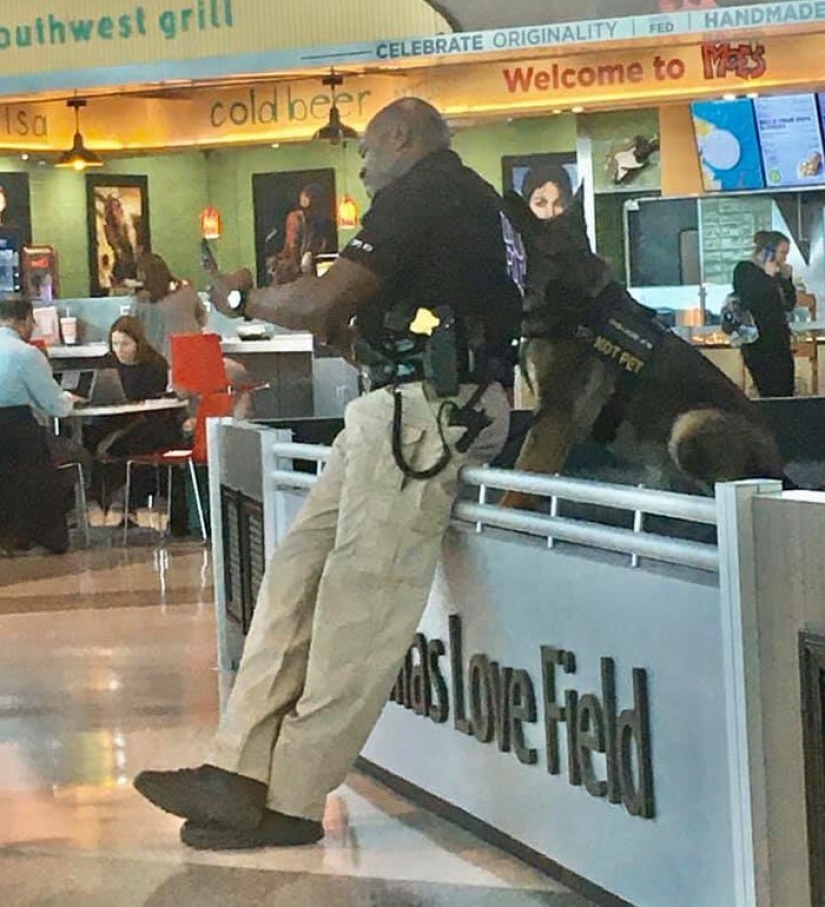 La niña notó cómo un policía en el aeropuerto se toma una selfie con un perro de servicio