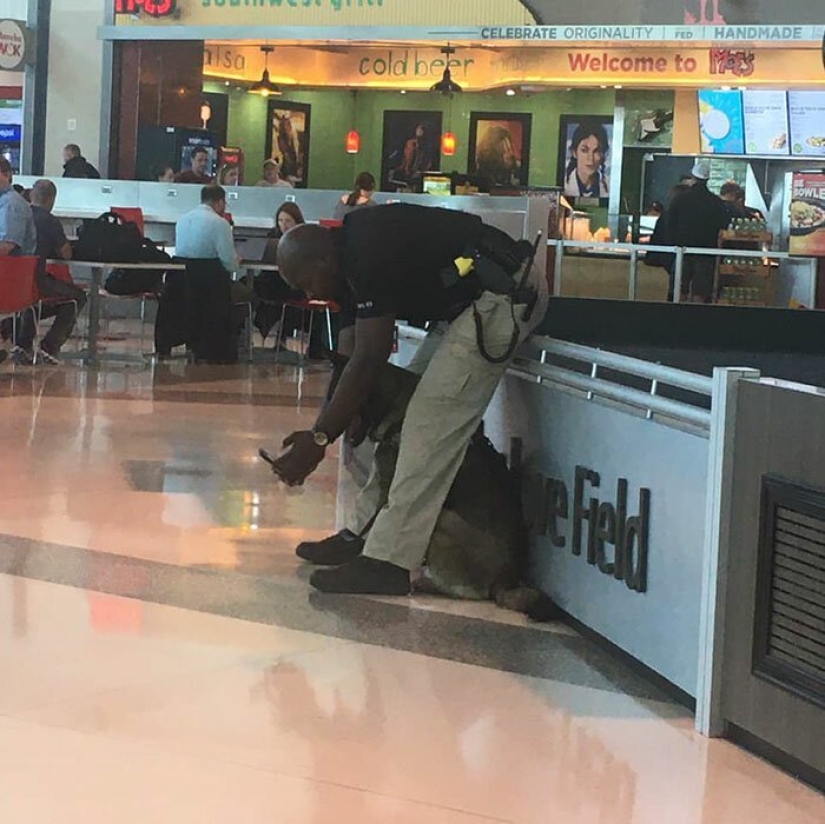 La niña notó cómo un policía en el aeropuerto se toma una selfie con un perro de servicio