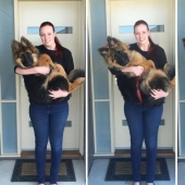 La pareja documentó la rapidez con la que creció su perro