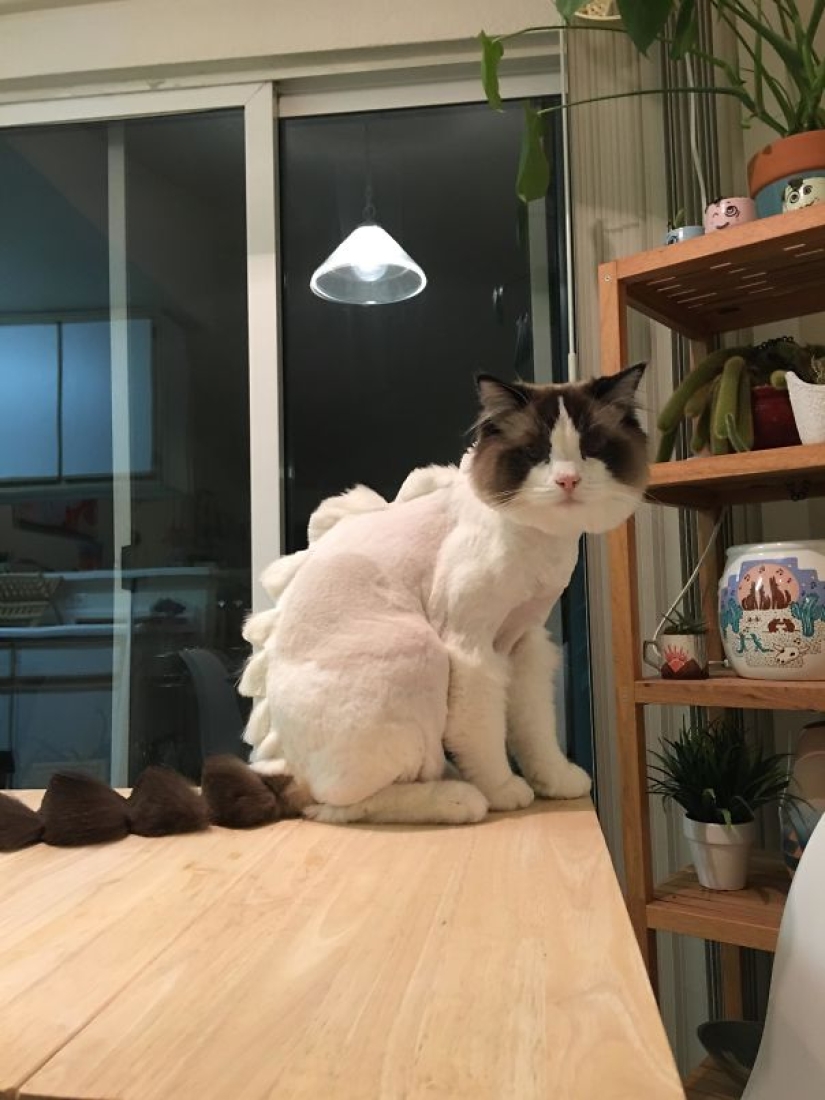 La vida secreta de las mascotas mientras estás fuera por un tiempo