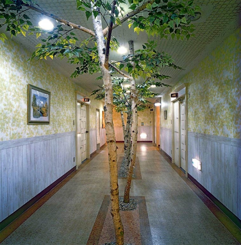 Lair of playful lust: what Japanese sex hotels look like Lair of playful lust: what Japanese sex hotels look like