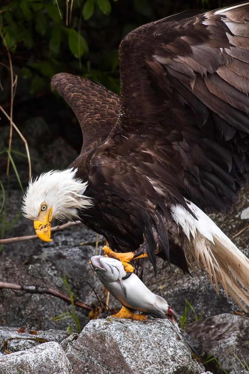 Landscapes of America's National Parks