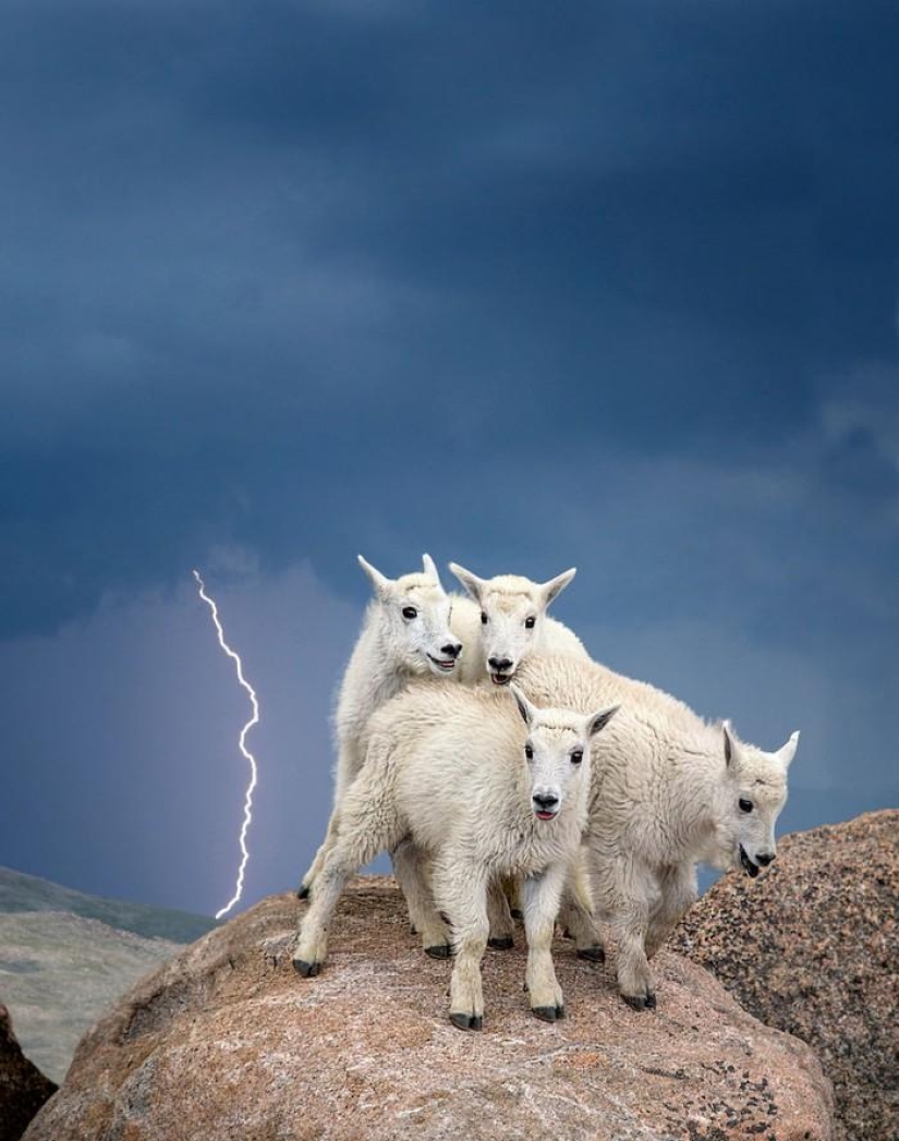 Landscapes of America's National Parks