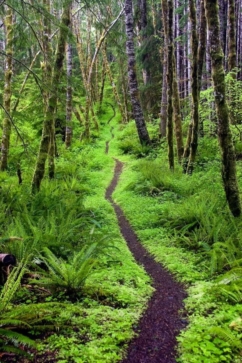 Landscapes of America's National Parks