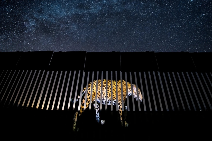 las 15 imágenes más impresionantes del concurso "Mejor Fotógrafo de Vida Silvestre 2019"