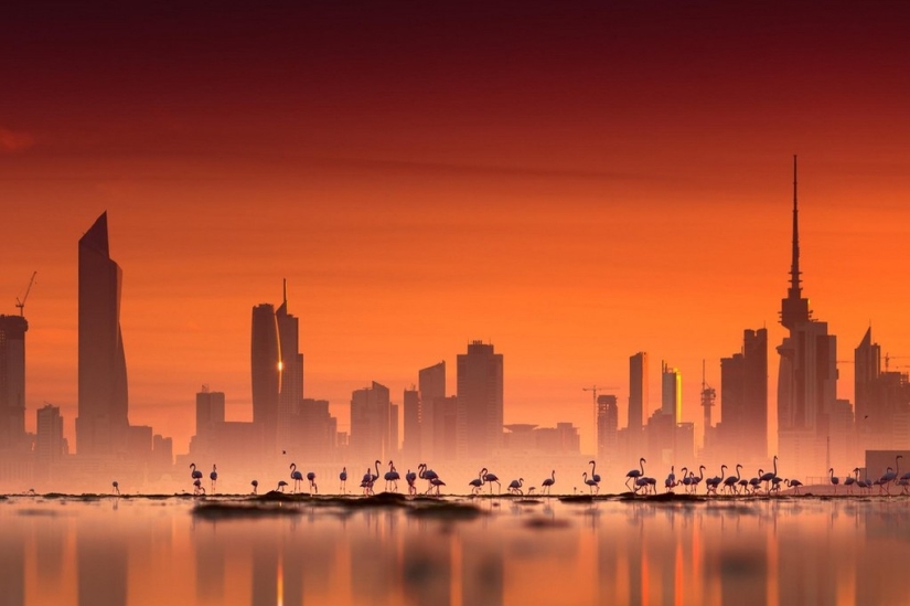Las 20 mejores fotos tomadas al amanecer Las 20 mejores fotos tomadas al amanecer