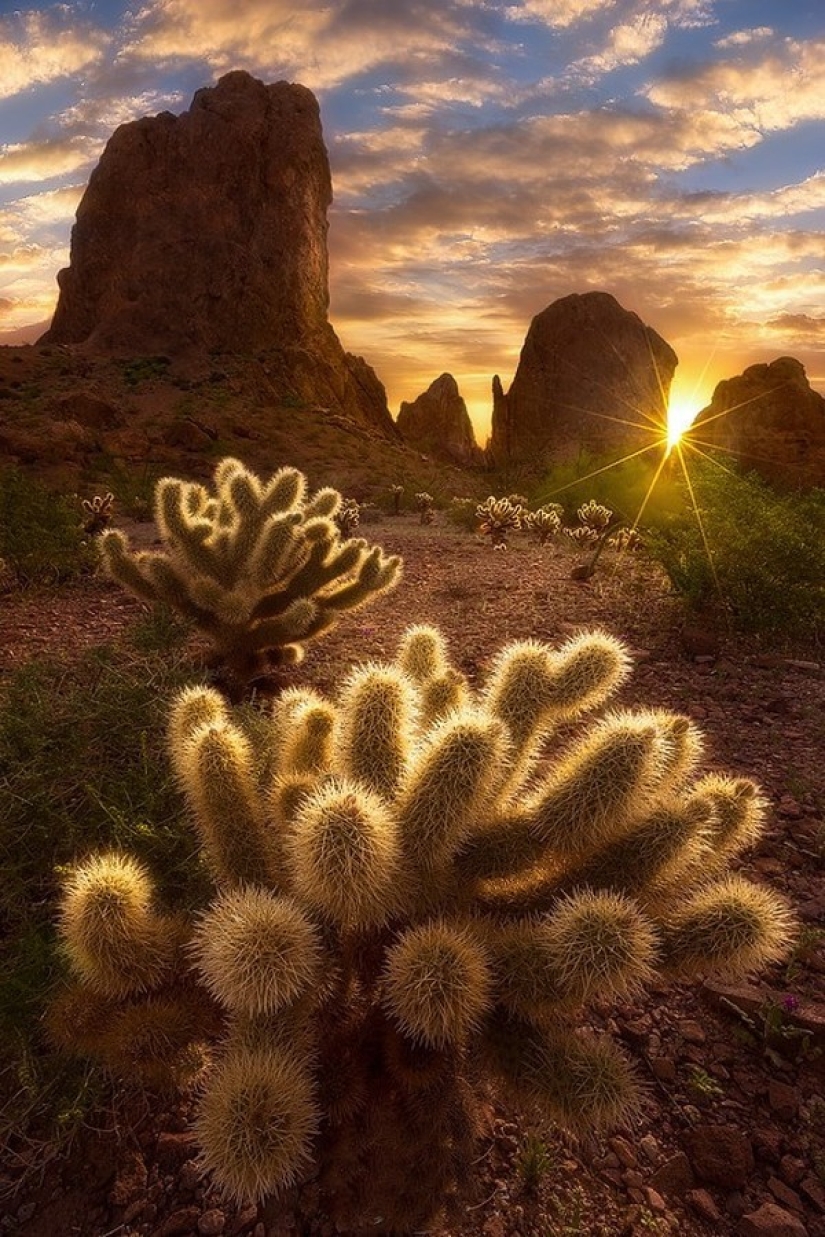 Las 20 mejores fotos tomadas al amanecer Las 20 mejores fotos tomadas al amanecer