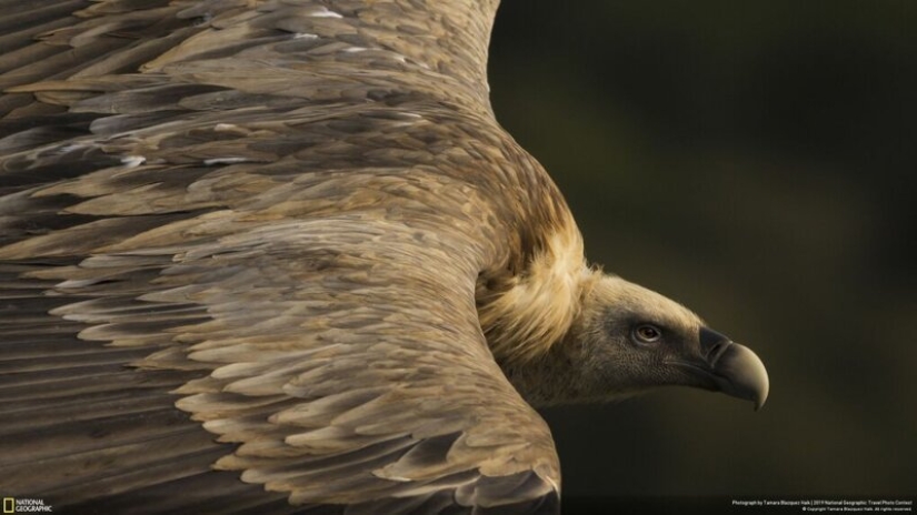 las 26 mejores fotos del Concurso de Fotografía de Viajes de National Geographic 2019