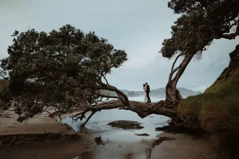 Las 50 mejores fotos de boda de 2018 han sido seleccionadas