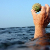 Las delicias olvidadas regresan al seno de la alta cocina rusa